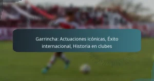 Garrincha: Actuaciones icónicas, Éxito internacional, Historia en clubes