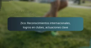Zico: Reconocimientos internacionales, logros en clubes, actuaciones clave